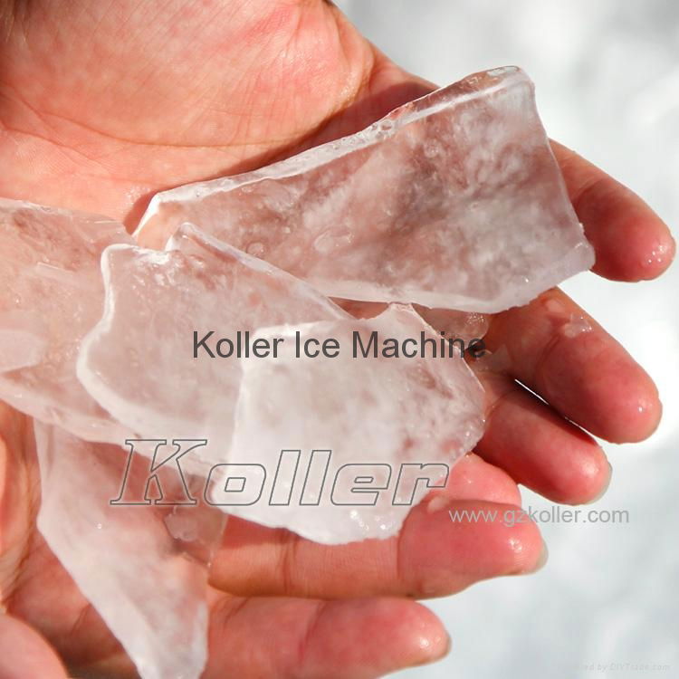 Koller 2 Tons Plate Ice Machine 5