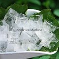 Koller Small Ice Cube Machine for Family Use 4