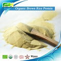 Organic Certified Rice Protein 1