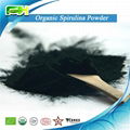 Organic Certified Spirulina Powder /