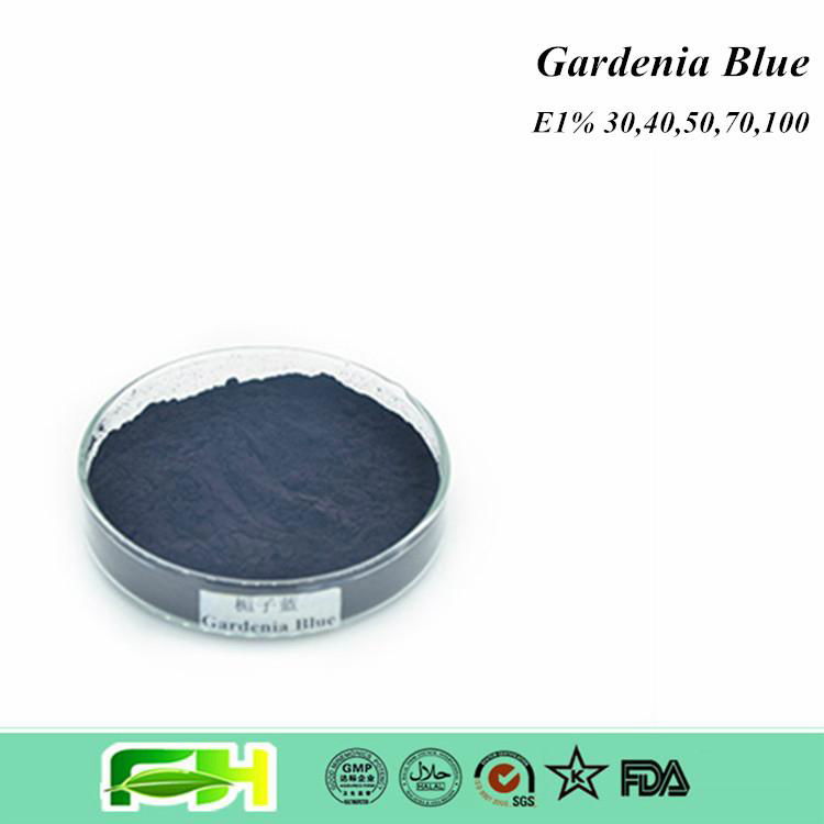 Natural Gardenia Extract Food Color Gardenia Blue