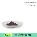 Natural Food Color Grape Skin Extract