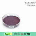 Natural Food Color Beetroot Red