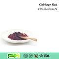 Natural Food Color Cabbage Red