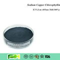 Natural Food Color Sodium Copper Chlorophyllin 1