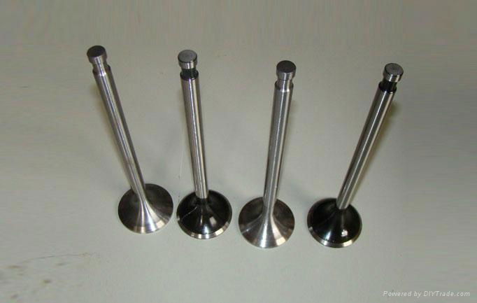 intake valves & exhaust valves