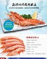 Argentina wholesale import ship frozen shrimp 5