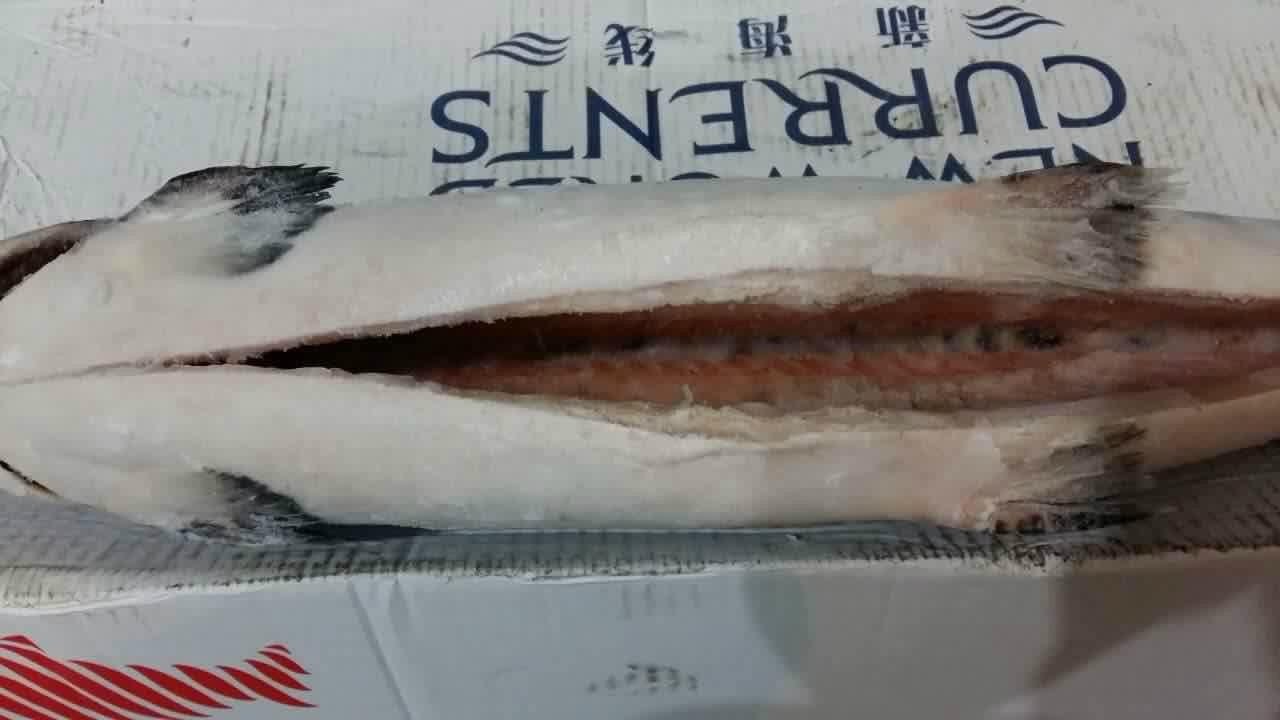 Chile wholesale Frozen Salmon 2
