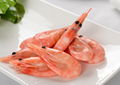 Arctic sweet shrimp wild ship frozen