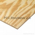 Birch plywood 3