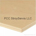 Poplar plywood