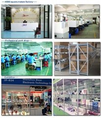 Shenzhen Bless Electronic Co.,Ltd