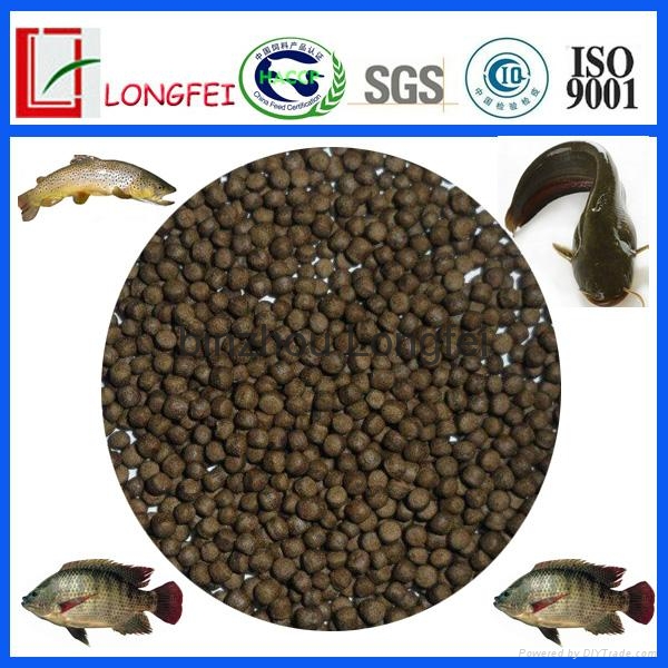 tilapia fish feed (China Manufacturer) Animal Husbandry