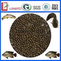 tilapia fish feed 1