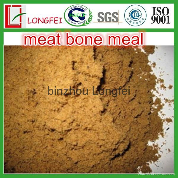 animal feed meat bone meal,poultry meal (China Manufacturer) Animal