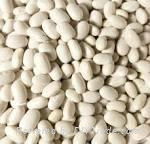 Supply white kidney beans and other beans