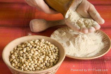 soy beans seeds 3