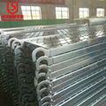 Hot selling Factory Price Galvanized scaffold Metal Steel Catwalk Hook on Board 3