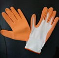 Gardening latex glove 1