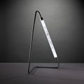 Decorative LED Desk Lamp 3