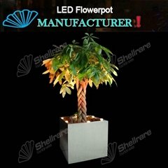 18.5IN SQ stainless steel Planter with LED changing Light for Outdoor 