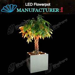 15IN SQ stainless steel Planter with LED changing Light  for Outdoor 