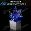 17.3IN L polygon stainless steel Planter with LED changing Light for Outdoor 