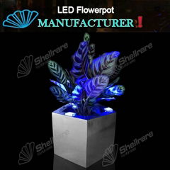 17.3IN L polygon stainless steel Planter with LED changing Light for Outdoor 