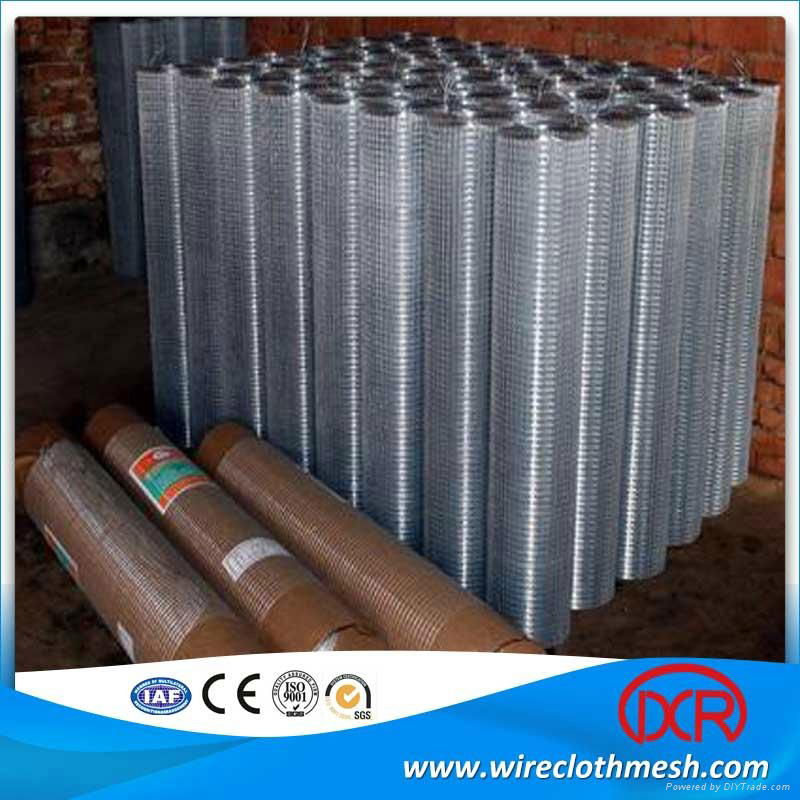 welded wire mesh 3