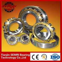 Cylidrical roller bearing