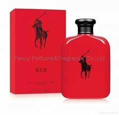 polo parfums male scents