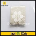 Royal Jelly Extract Powder