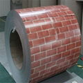 PPGI STEEL COIL 