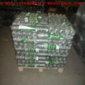 hexagonal wire mesh (really factory) 1