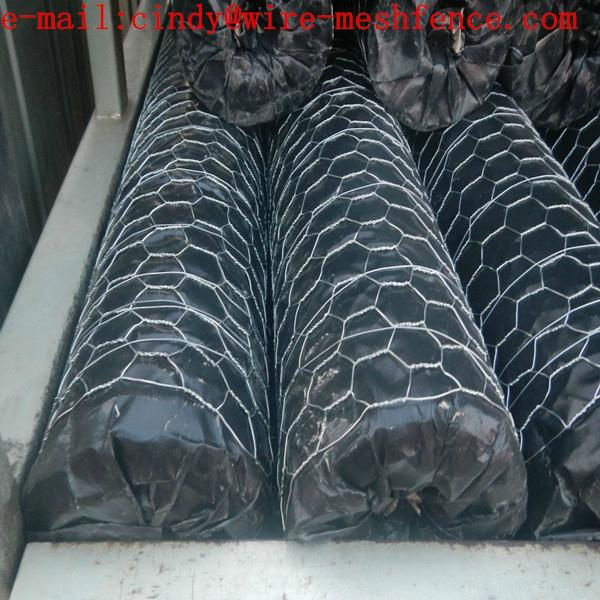 hexagonal wire mesh (really factory) 2