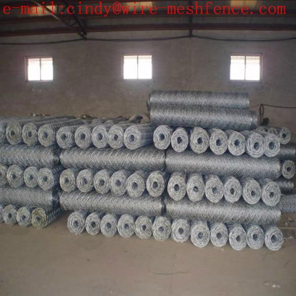 hexagonal wire mesh (really factory) 3