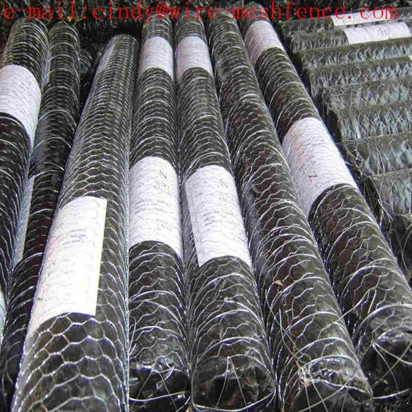 hexagonal wire mesh (really factory) 5