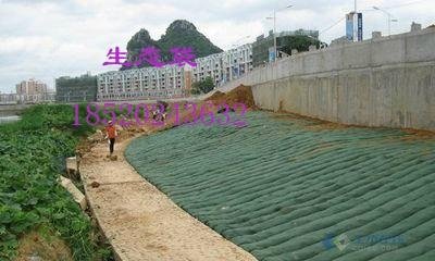 惠州龙门湿地工程专用生态袋