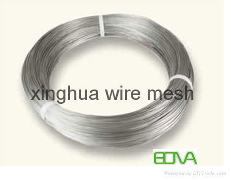 eletro galvanized wire mesh 