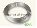 eletro galvanized wire mesh