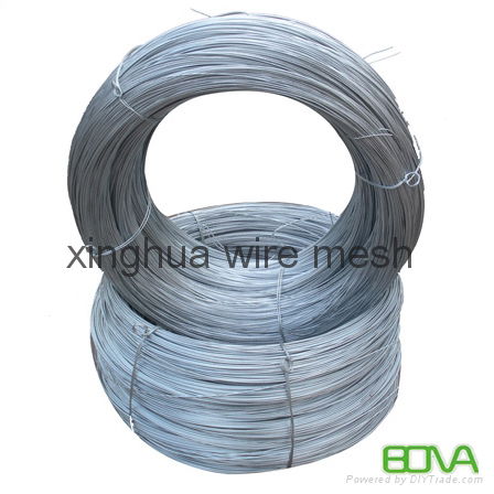 eletro galvanized wire mesh  2