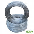 eletro galvanized wire mesh  2