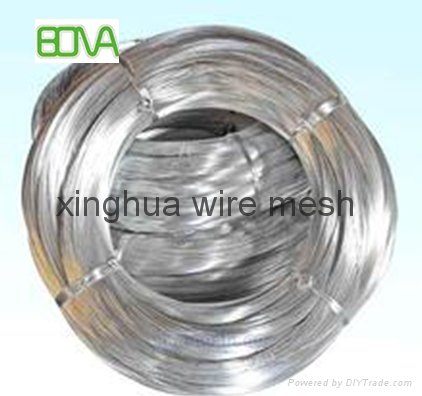 eletro galvanized wire mesh  4