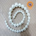 wholesale shell pearl loose strands 2
