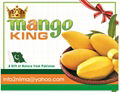 Mango 1