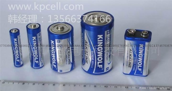廠家供應五號AA碱性電池 2