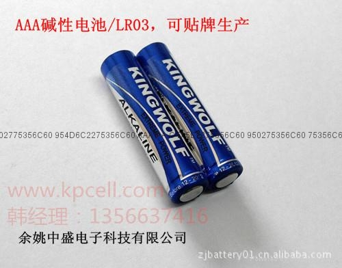 厂家供应7号AAA空运出口碱性干电池 2