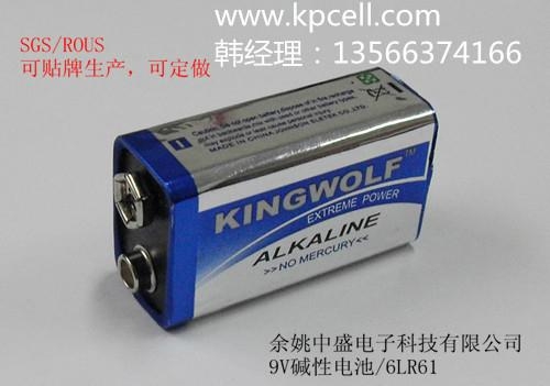廠家供應碱性9V手電筒電池