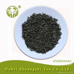 Hot selling China green tea 41022AAA