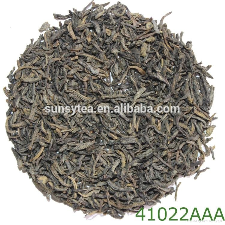 Hot selling China green tea 41022AAA  3